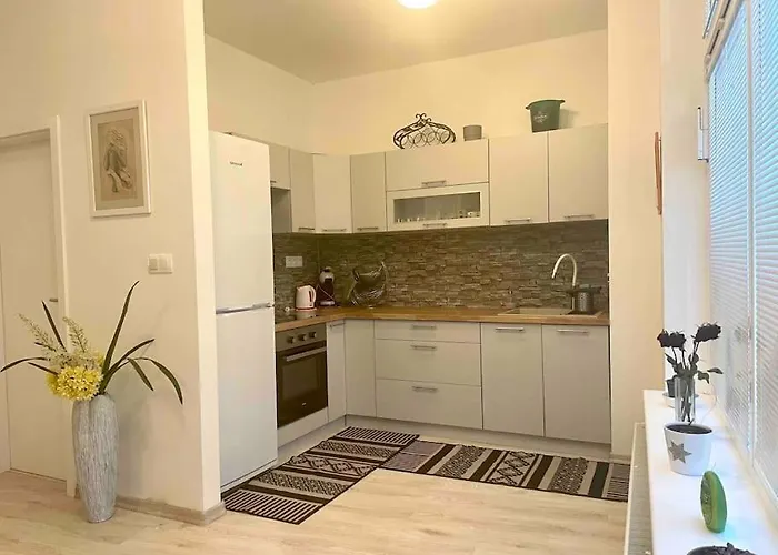 Appartement Amazing Large 2,5rooms With Terrace And Parking!