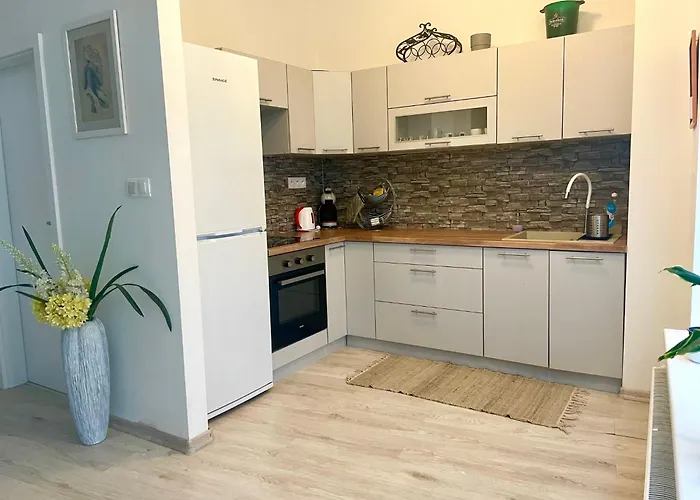 Amazing Large 2,5rooms With Terrace And Parking! アパート *