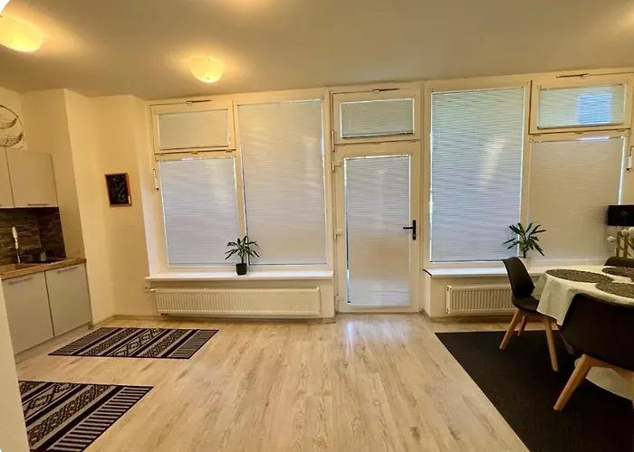 アパート Amazing Large 2,5rooms With Terrace And Parking! *